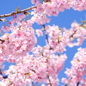 新年度のおやつの準備は万全ですか？毎日のおやつ、もう悩まなくて大丈夫です