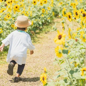 猛暑で夏バテ気味の子どもに！食欲をそそる「ひんやりおやつのサブスク」でエネルギーチャージ