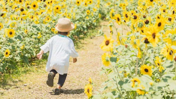 猛暑で夏バテ気味の子どもに！食欲をそそる「ひんやりおやつのサブスク」でエネルギーチャージ